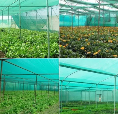 Polyhouse Net by Poonamsons