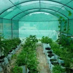 Seedbed net by Anping Xintaiyuan Wire Mesh Co., Ltd.