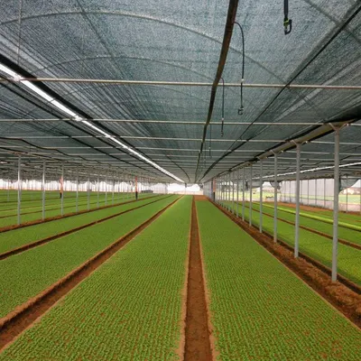 Patio Canopy Hdpe Uv Block Shade Net by Hebei Tuosite Plastic Co. Ltd
