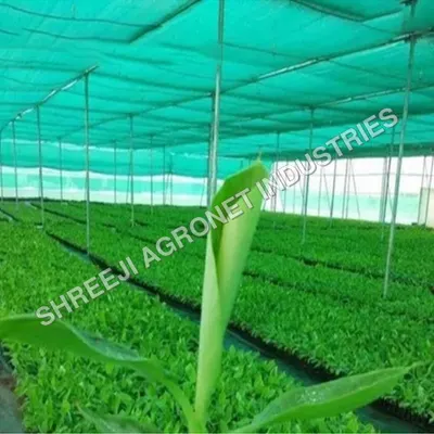 Dark Green Shade Net by Jiangsu Green Full Garden Products Co., Ltd.