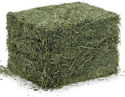 Top Grade Lucerne Hay by Amaggi