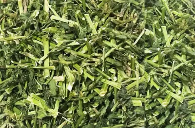 Alfalfa Hay A by U.C.M Auto Trading