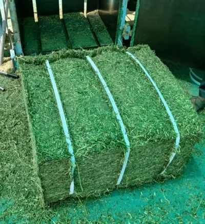 Hay Rake by Agrobulls Machinery