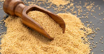Amaranth Seeds by WeMixx