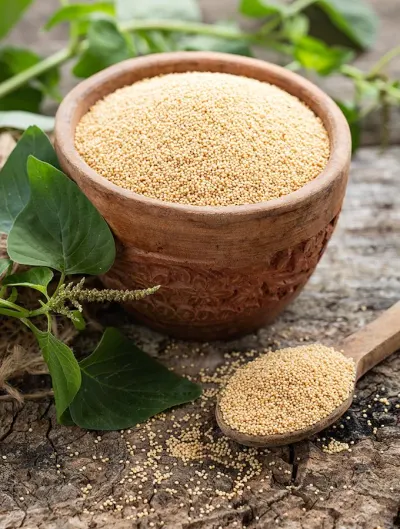 Amaranth Grain by Samasta Foods
