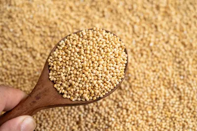 Organic Amaranth (Fresh) by Goodganic Thailand