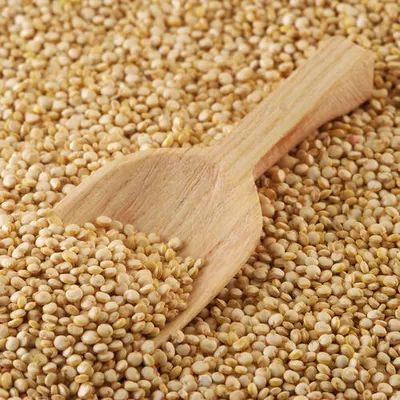 Amaranths Seed by H & R International