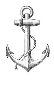 Handan Wedge Anchor by Hebei Qianmu Fastener Manufacturing Co., Ltd.