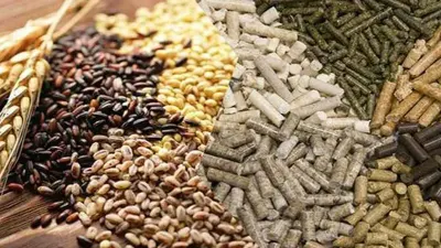 Mealworm Powder by Innaprime Group