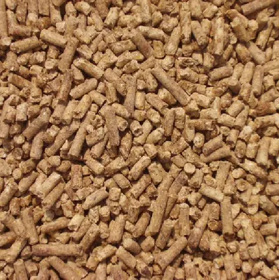 Feed Additives Animal by Gerardjoseph LLC