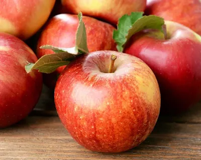 Fresh Apple by Source Trading Global Group Pty Ltd
