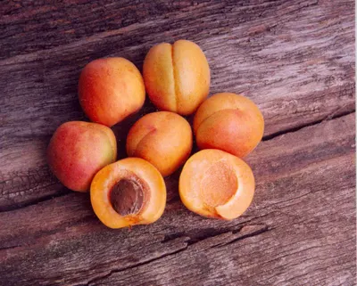 Raw Sweet Apricot Kernels Similar To Almonds by Hebei Dragon King Food Co., Ltd.