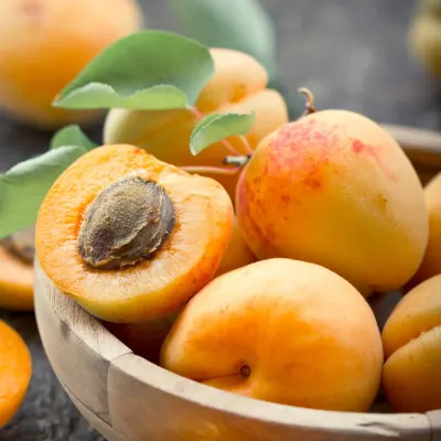 Apricot Seeds by Lorena Silvestri Bravo