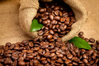 Robusta Coffee/Arabica Green Coffee Beans by Saanray Export Networks Limited