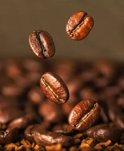 Arabica Mandaling Coffee Beans by Warsa Artha Harmoni