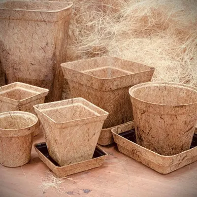 Coir Geo Textiles by GPMR Products