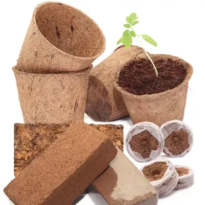 Coir Product by Dana Agro Exports