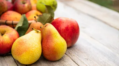Pears From Turkey by Oz Kocak Tekstil