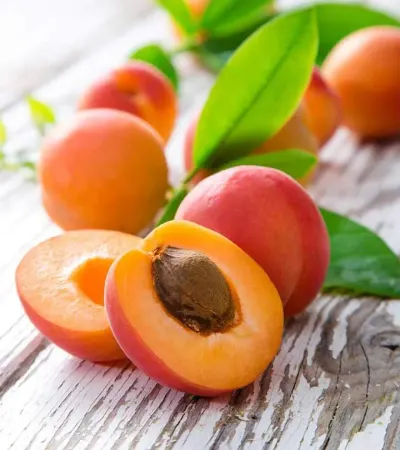 Dry Apricot by Schwitz Biotech