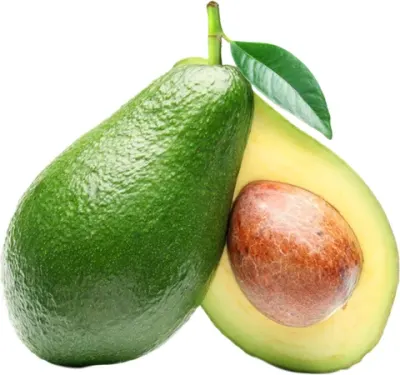 Avocado Pulp by SBH Foods Pvt. Ltd.