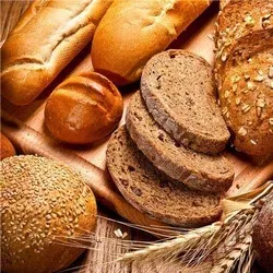 Clean Label Bakery Products Soups by SunGold Oil Factory