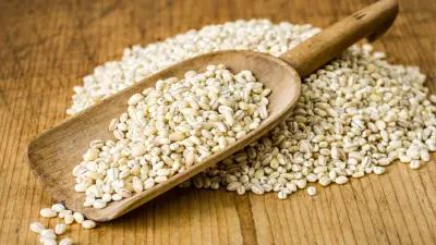 Barley 23 by SunGold Oil Factory