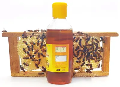 Natural Honey Dtba by SunGold Oil Factory