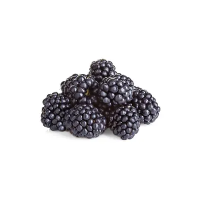 Blackberry by Pe Fitoagroproduct LLC