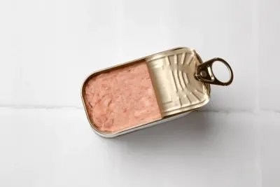 Launcheon Meat Canned Meat Jz31 by SunGold Oil Factory
