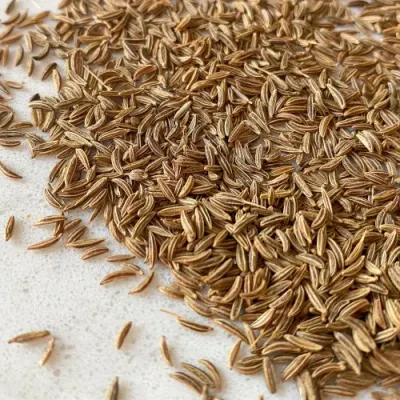 Caraway seeds by Green Herbs Export
