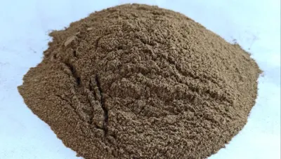 Castor Meal by BSS Worldwide Pvt. Ltd.