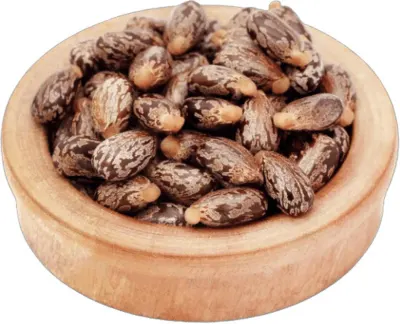 Rape Seeds Castor Seeds by SunGold Oil Factory