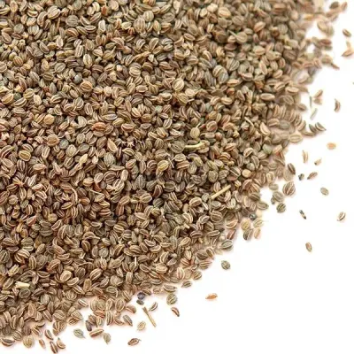 Freeze Dried Celery U8lp by SunGold Oil Factory