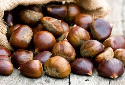 Bulk Chestnuts by Soupin Jean Stephane
