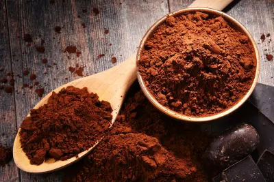 Cocoa Powder 13 by SunGold Oil Factory