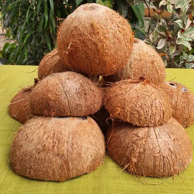 Coconut shell tiles by Bali Arti Kreasindo