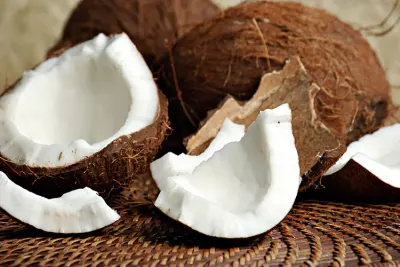 Coconuts by Helm Madagascar