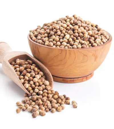 Coriander Seeds Gpdh by SunGold Oil Factory