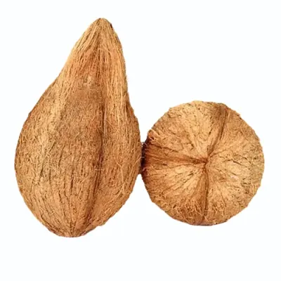 Huskedde Husked Coconut Cqpi by SunGold Oil Factory