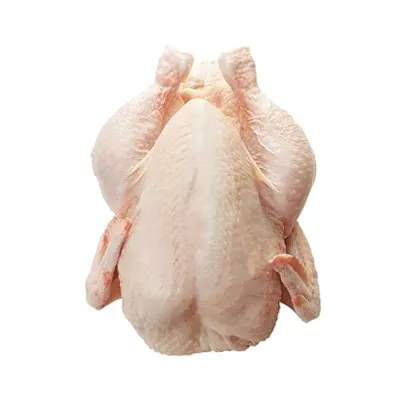 Frozen Chicken Deboned Meat by Zenora Limited Liability Company