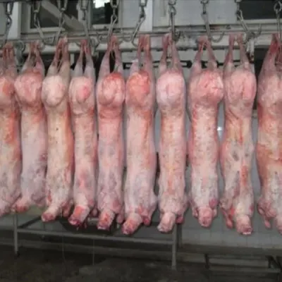 Lamb Stick 2sqr by SunGold Oil Factory