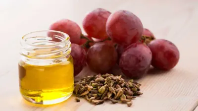 Grape Seed Oil 3 by SunGold Oil Factory