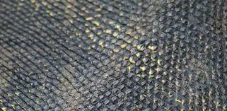 Dried Lizard Fish by PT. Justdan International Indonesia