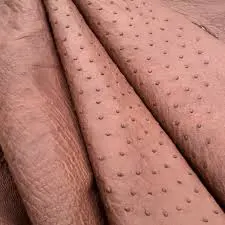 Ostrich Feathers by Supannee Trading Limited Partership