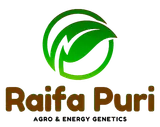 Raifa Puri Enterprise