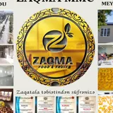 Zaqma LLC