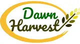 CV Dawn Harvest
