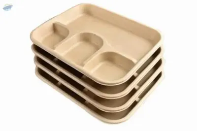 Bagasse Tableware's by BR Global Trade