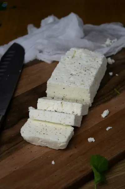 Frozen Paneer (Indian Cottage Cheese)