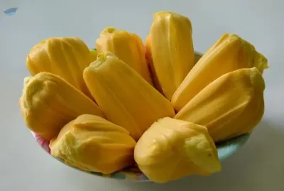 Frozen Jackfruit